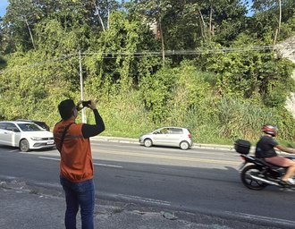 Defesa Civil de Maceió recomenda retirada de árvores em áreas de risco e próximas à rede elétrica