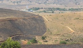 Incêndio consumiu cerca de 150 hectares da Serra dos Frios em União dos Palmares