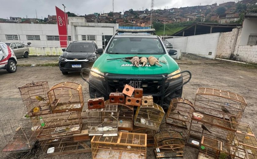 Operação Onda Verde recolhe arma de fogo e mais de 30 animais silvestres na Zona da Mata