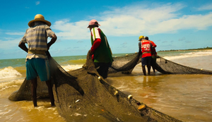 MPF busca garantir pesca tradicional nas praias de Barra de Santo Antônio
