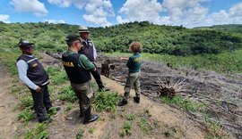 Alagoas é alvo da Operação Nacional 'Mata Atlântica em Pé'