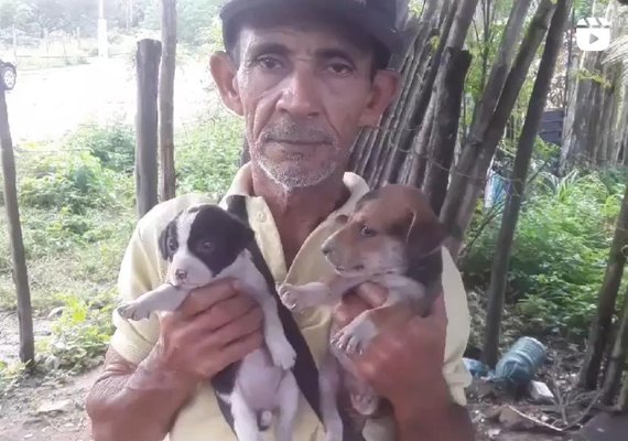 VÍDEO: o drama de um homem pobre que cria cerca de 50 animais abandonados e que a Prefeitura ignora seu trabalho