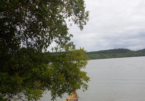 Rota Lagunar une turismo sustentável e cultura em passeios exclusivos com experiências sensoriais