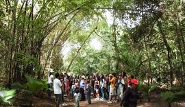 Parque Municipal de Maceió estará fechado no Natal e no fim de ano