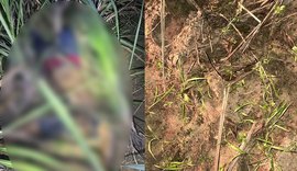 Jovem confessa assassinato de professor com quem mantinha relacionamento