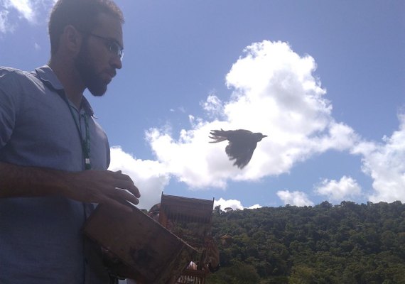 Mais de 120 animais silvestres são devolvidos à natureza em Alagoas