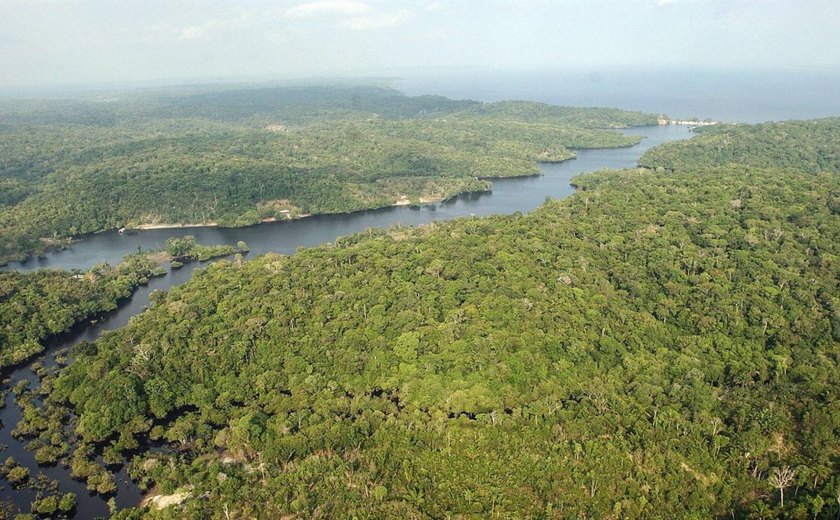 Governo Temer convoca mineradoras à nova caça ao ouro na Amazônia
