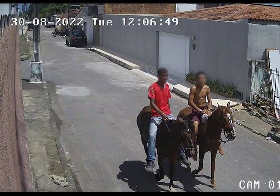 Dupla usa cavalos para assaltar mulher no Barro Duro, em Maceió