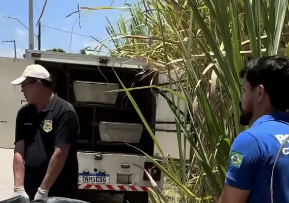 Jovem é encontrado morto com marcas de tiros e golpes de arma branca em canavial em Alagoas