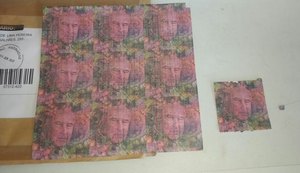 Gecoc, PC e PM apreendem comprimidos de LSD avaliados em R$ 70 mil