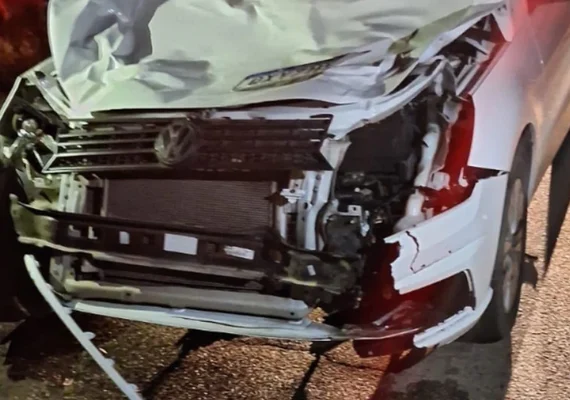 Casal fica ferido após carro colidir com cavalo solto na estrada; animal morreu  no local