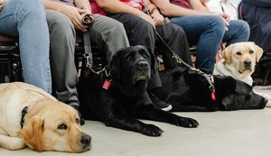 MCTI reforça inclusão com entrega de cães-guia e veículo adaptado durante II Fórum de Tecnologia Assistiva