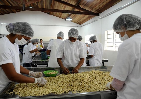 Fábrica de Castanhas será inaugurada através de incentivo estadual