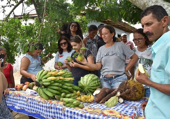 Prefeitura de Maceió incentiva agricultura familiar e melhora merenda