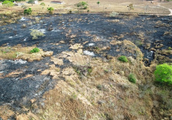 IMA alerta para o aumento de 256% nos focos de queimadas em uma semana