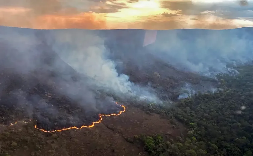 Brasil concentra 76% dos incêndios na América do Sul