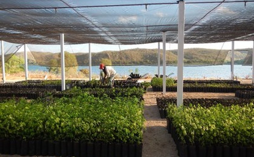 Projeto coordenado pela Ufal Penedo recebe investimento de R$ 2,5 milhões