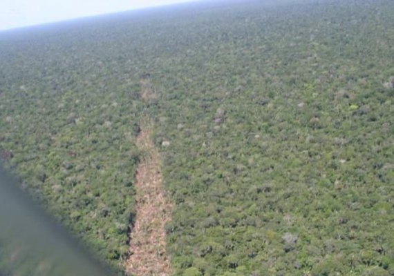Entidades pedem veto de MPs que reduzem áreas protegidas na Amazônia