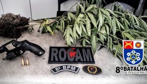 Em menos de 10h, guarnições da PM apreendem 36 armas de fogo em quatro cidades de AL