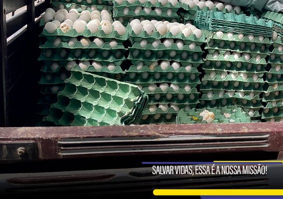 Blitz em São Luís do Quitunde apreende carga sem nota fiscal e adulteração de data de validade de produtos