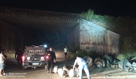 Caminhão carregado de botijões de gás tomba e parte da carga é saqueda