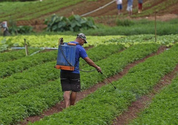 Anvisa aprova novo marco regulatório de classificação de agrotóxicos