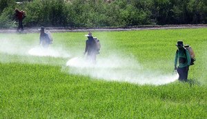 Brasil avança na liberação de agrotóxicos