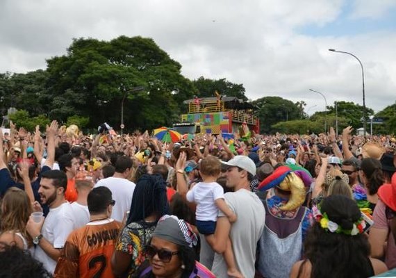 Blocos de Alceu e Elba reúnem multidão no Ibirapuera