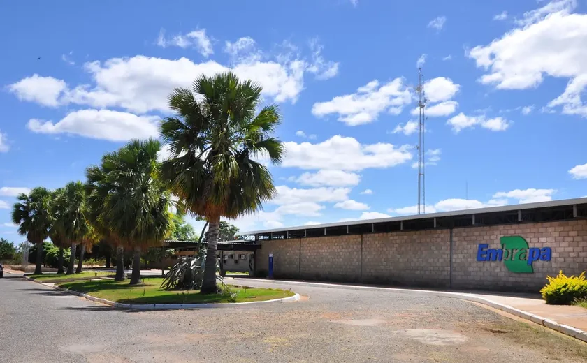 Aplicativo gratuito da Embrapa ajuda a planejar barragens no semiárido