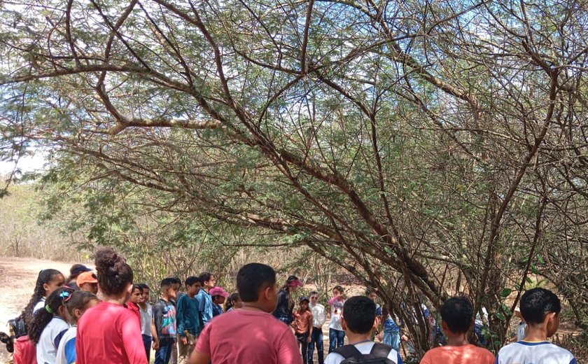 Semana da Consciência Negra começa nesta sexta em Arapiraca