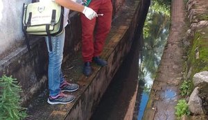 Municípios da Região Norte também combatem outras doenças