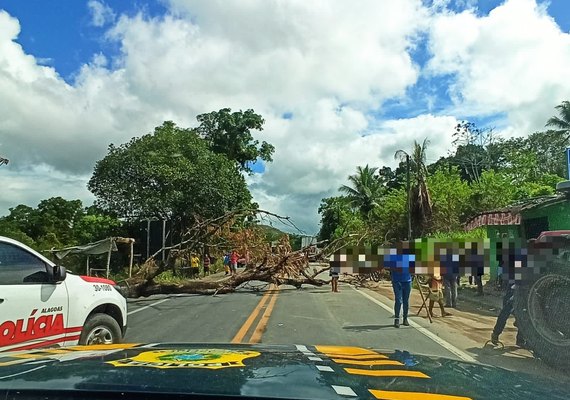 Moradores da comunidade indígena Wassu Cocal bloqueiam trecho da BR-101 em Joaquim Gomes