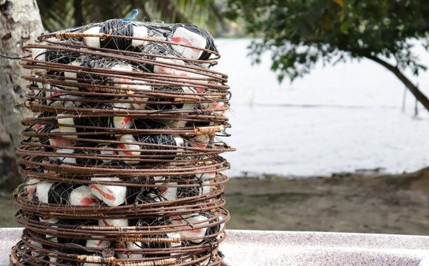 Ufal é parceira em projeto de ordenamento da pesca marinha no Brasil