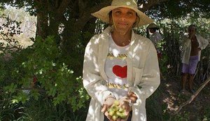 Cooperativa fundada por mulheres valoriza ingredientes do semiárido na BA