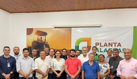 Alagoas possui mais de 20 mil estabelecimentos produzindo mandioca