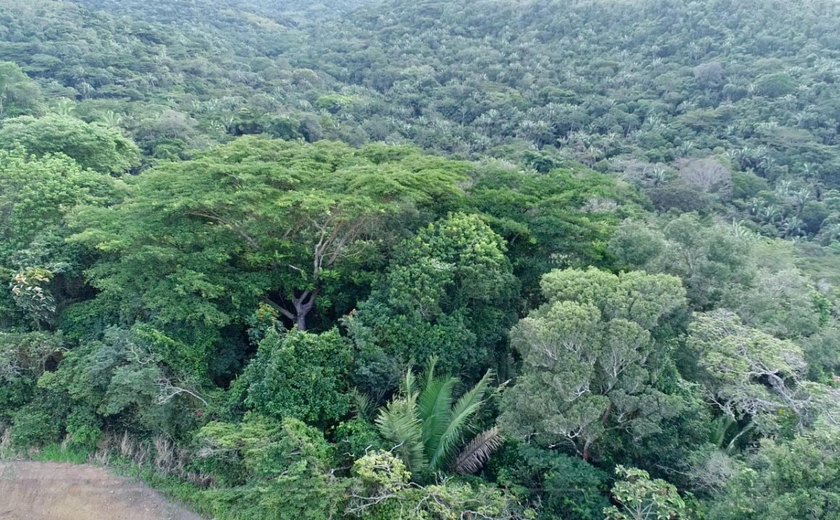 Em Rio Largo, homem de 30 anos é morto com 12 tiros na Mata do Rolo