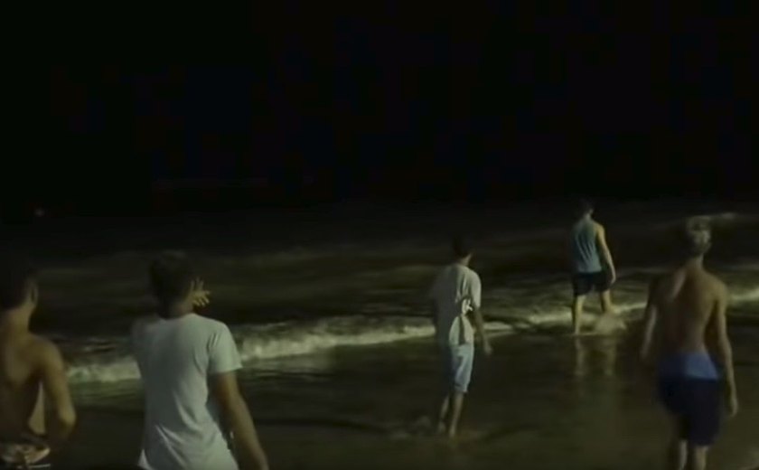 Tubarões são avistados na beira da praia da Jatiúca, em Maceió; assista
