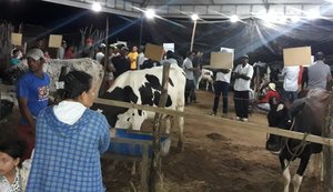 VI Torneio Leiteiro do Povoado Ribeira premia pequenos produtores da região