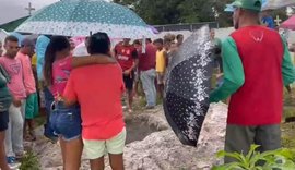 Comoção: velório e sepultamento de criança que morreu atropelada foi acompanhado por dezenas de pessoas