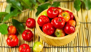 Cooperativa especializada em orgânicos está pronta para exportação em Portugal