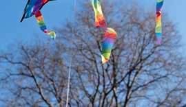 Motociclista tem pescoço cortado por linha de pipa em avenida de Maceió