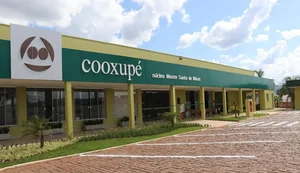 O empresário que criou a maior cooperativa de café do mundo — um negócio de R$ 10,5 bi