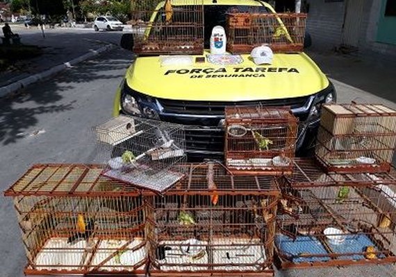 Após abordagem no terminal do Vergel, BPTran detém suspeito de crime ambiental