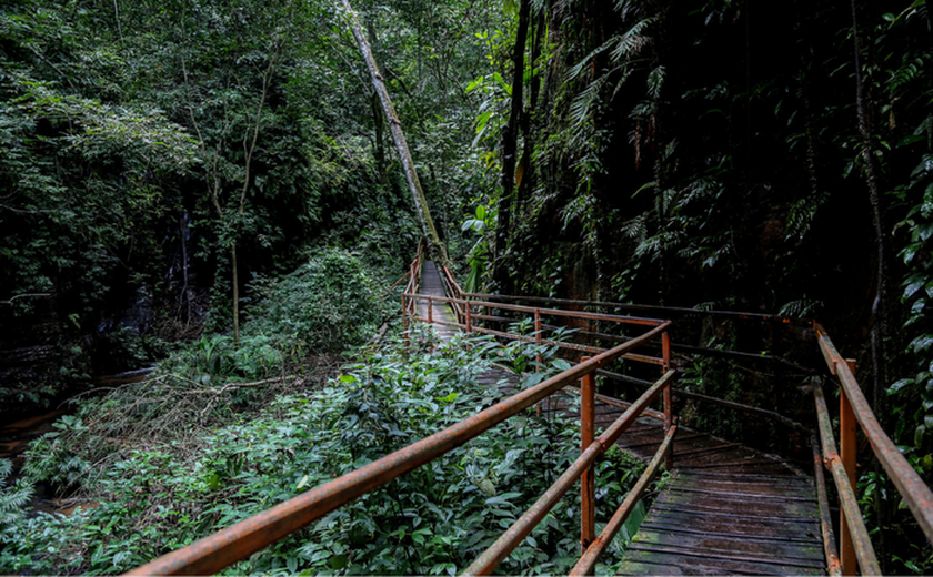 MTur contrata consultoria para apoiar desenvolvimento de trilhas de longo curso no Brasil