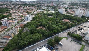 Condomínio ameaça refúgio de Mata Atlântica