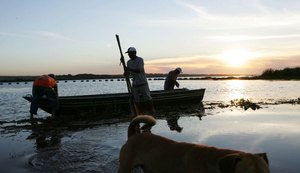 Mata Atlântica tem apenas 2,5% têm água com boa qualidade