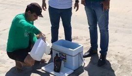 IMA faz coleta nas praias atingidas por óleo para identificar riscos do material à saúde