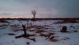 Estudos mostram que oxigênio em excesso matou seres vivos na Terra