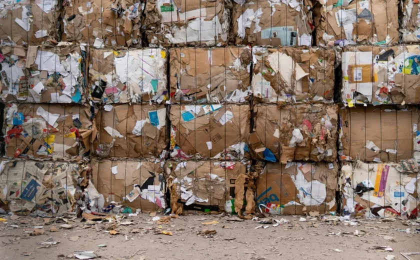 Cooperativas de Maringá que separam recicláveis são recontratadas por até R$ 1,5 milhão; saiba quanto é coletado