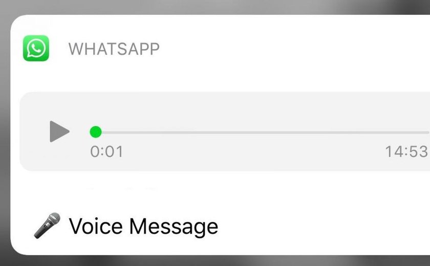 WhatsApp para iPhone agora toca áudio pela notificação e envia memojis